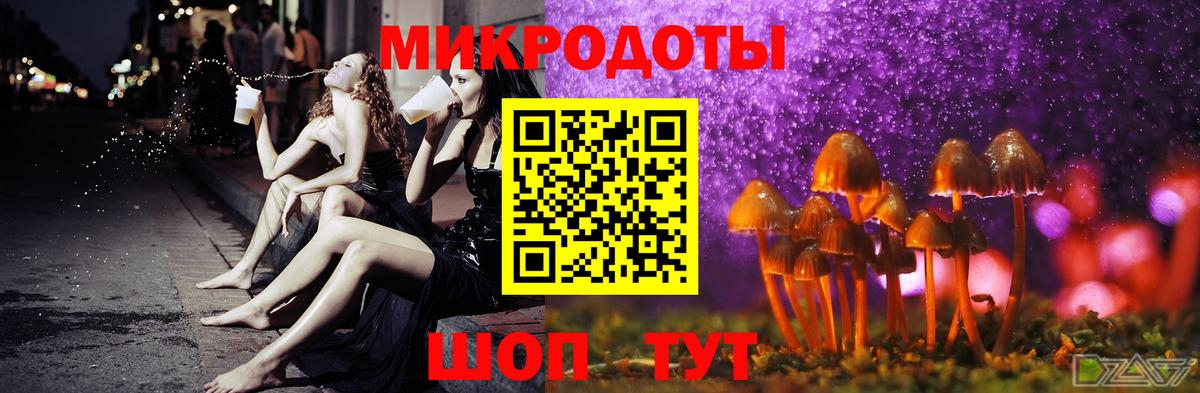 Алексин  Галлюциногенные грибы Psilocybine cubensis  Вход с VPN 